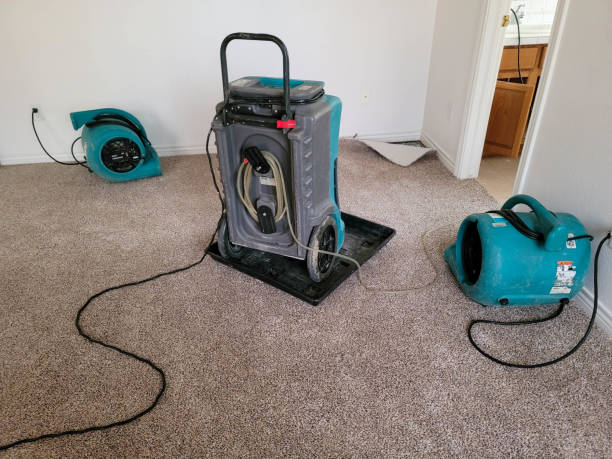 Best 24-hour water damage restoration  in Marshfield, MO