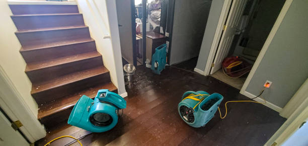 Best Water damage restoration insurance claims  in Marshfield, MO