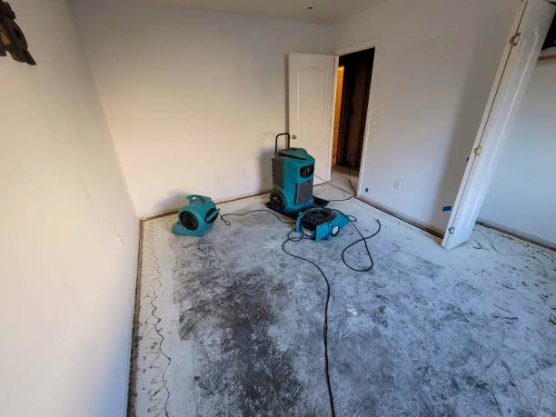 Best Water damage restoration near me  in Marshfield, MO