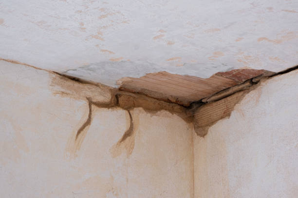 Best Flood restoration services  in Marshfield, MO