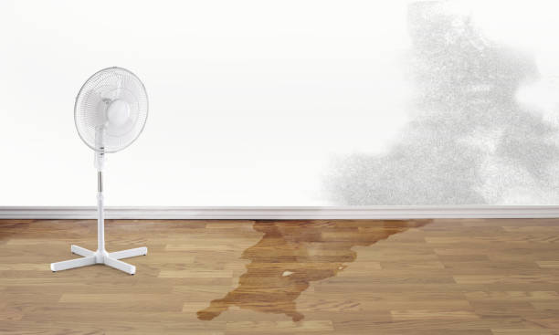 Best Local water damage restoration  in Marshfield, MO