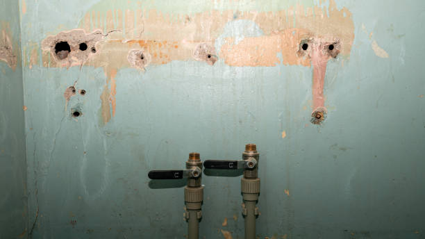 Best Water damage restoration company  in Marshfield, MO