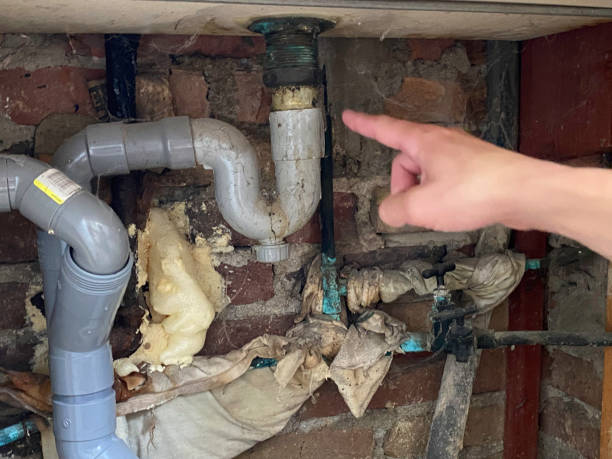 Best Water damage restoration experts  in Marshfield, MO